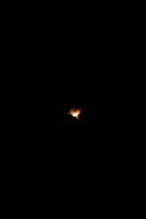 Phoenix_22