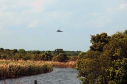 STS-119_20