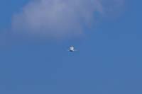 STS-124_26