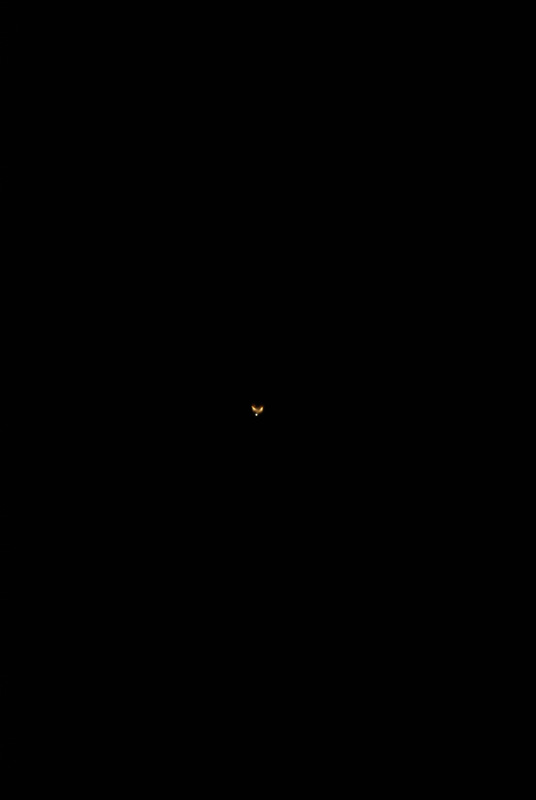 STS-131_14