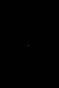 STS-131_14