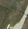 Click for panorama