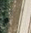 Click for panorama
